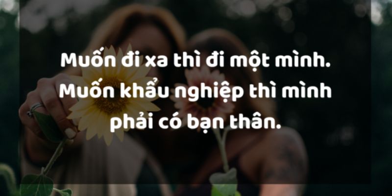 Tình bạn không phải là những lời hứa hẹn, mà là những khoảnh khắc chúng ta cùng nhau chia sẻ