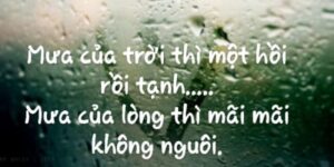 STT Về Lòng Người: Những Câu Nói Sâu Sắc Về Tình Người