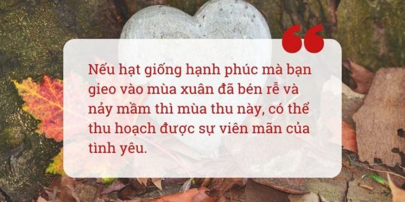 STT về những ngày khô hạn, khi bạn ước ao một cơn mưa nhẹ