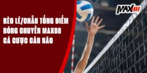 Kèo Lẻ/Chẵn Tổng Điểm Bóng Chuyền Max88 – Cá Cược Cân Não 